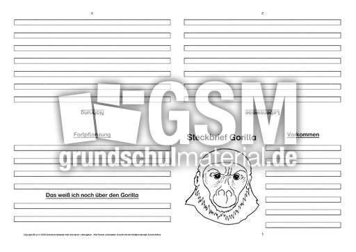 Gorilla-Faltbuch-vierseitig-2.pdf